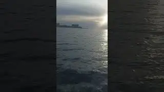 12 октября 2024 г.