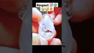 respect 