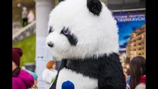 Домашний Фестиваль в ЖК 