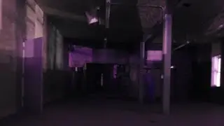 Paranormal Pulse™️ Discussion - Concepts of Hauntings