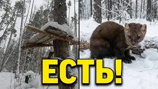 Промысел, февраль 2022