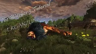 The Witcher 3: The Wild Hunt - Tipps und Tricks (Ergänzung!)