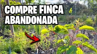 Compre FINCA ABANDONADA y la TRANSFORME en UN PARAÍSO 🏡 | La Huerta de Ivan