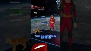 MY CAT IS REAL!! 😠😠 Deadpool Dance in Beat Saber VR. Meta Quest 3. NSYNC - Bye Bye Bye. LadyPool