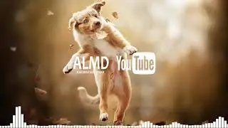 Vibe Tracks - About That Oldie (Royalty Free Music for Content Creator)