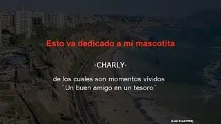 Recuerdos de mi mascotita ¨Charly¨ momentos vívidos•