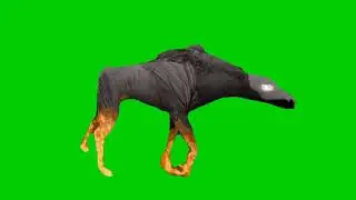 Monster green screen animation| Editor G