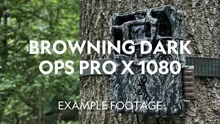 Example Footage | Browning Dark Ops Pro X 1080 Trail Camera