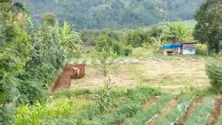 Lahan Pertanian Di Salah Satu Perbukitan di Kerinci - Jambi