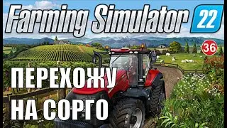 Farming Simulator 22 - Перехожу на сорго