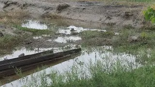 ZAHKASH MUAMMOSI HAL ETILDI