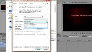 Sony vegas exportar videos