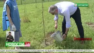 Сюжет про посадку молодых деревьев в Сунже и Карабулаке в рамках акции «Сад памяти»