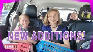 New farm animal update | Meishan | They made our pup hungry! haha! | The Five Acre Farm | VLOG