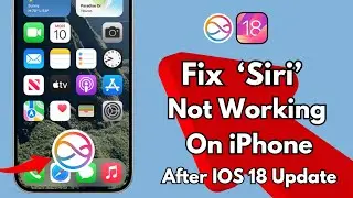 How To Fix " Hey Siri " Not Working in iPhone After iOS 18 Update !