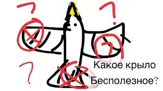 Бесполезные крылья
