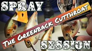 The Greenback Cutthroat Session (**FULL SCREEN**) 08/03/2024