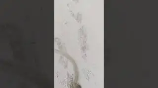 Странный Краснодарский Снег...