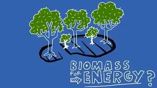 Why burning biomass is not zero-carbon | Explainer | Chatham House