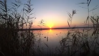 Открытие охоты на утку 2023 в Ростовской области