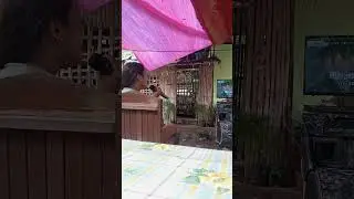 Ang galing naman ni ate 👏 | At ang hirap karaoke