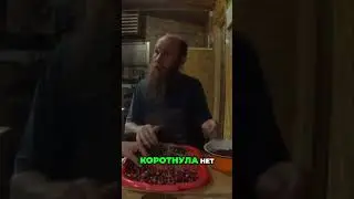 Соблазн и восприятие  Как это влияет на нас