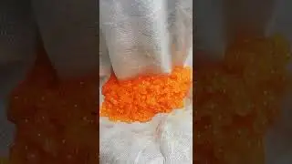 Солите икру правильно!