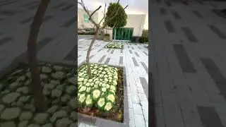 Как выращивать капусту😊 