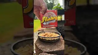 Trying the Slinky Hack on the bird feeder #birdfeeder #squirrel #slinky