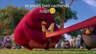 Te pones bien cac
