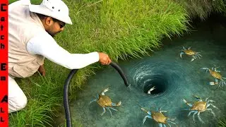 We Found CRABS TRAPPED in a WHIRLPOOL PIPE!