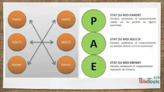 Analyse Transactionnelle