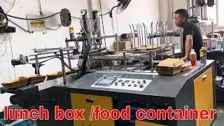 Automatic paper lunch box making machine / take away fast food box container forming machine (2024)
