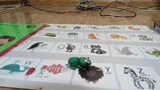 frog