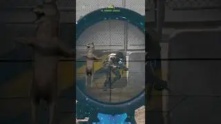 Когда прихватило спину 😀