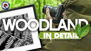 Woodland Detail Photography Ideas with a 1980s Film Camera!