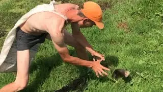 ТЯНЕМ МЕРЕЖУ!НЕЖДАННЫЙ ЛЯЩЬ!