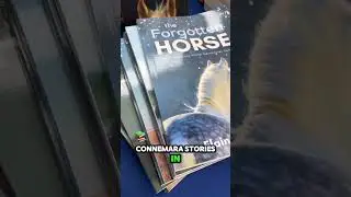 10 horse books for kids age 8 to 14 years #horsebook #ad #horses #horse #elaineheney #horseriding