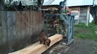 Ставлю цепь для продольного пиления ШТИЛЬ, на свою самодельную цепную минипилораму.