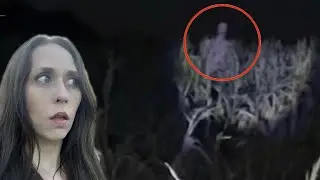 CORNFIELD OF TERROR