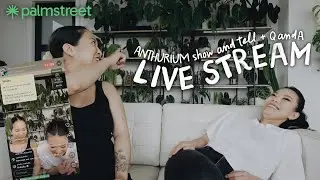 anthurium Q&A + show & tell with @youdontevengrowhere on the palm street app!