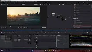 My color grading process for the Sigma fp | DaVinci Resolve CinemaDNG RAW