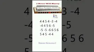 #harmonica