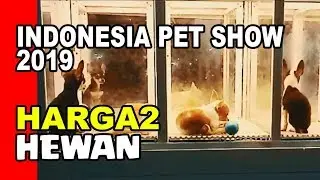 Harga2 Hewan di INDONESIA PET SHOW 2019