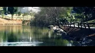 Teste sony vegas 7.0 + New Blue Fx plugin film look