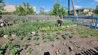 Шестой день в деревне Казахстан/ ещё даже в музей не ходила.