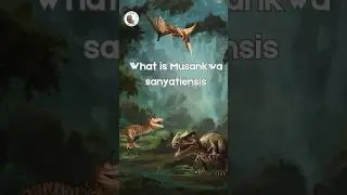 What is Musankwa sanyatiensis #prelims #upsc #officersiasacademy #bestiasacademyinindia