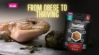 Skink's Weight Loss Journey With OmniGold