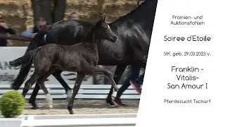 Stf v Franklin x Vitalis x San Amour I 2023