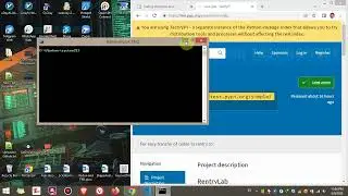 Use rentrylab in Windows